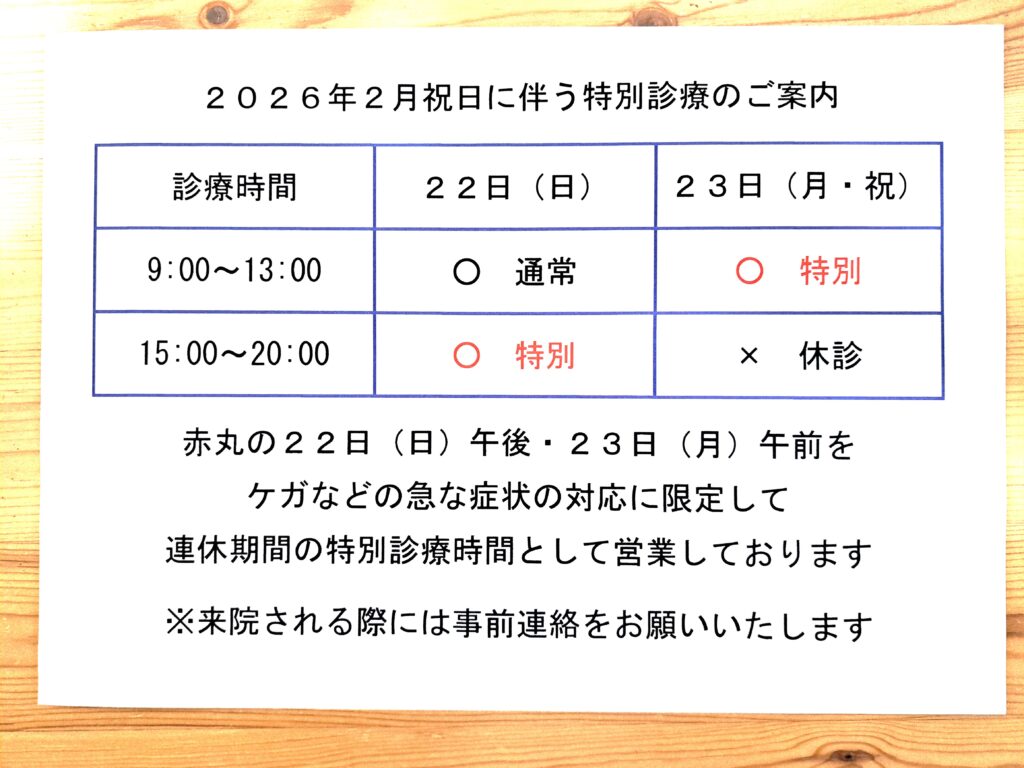 2026年2月 祝日 特別営業